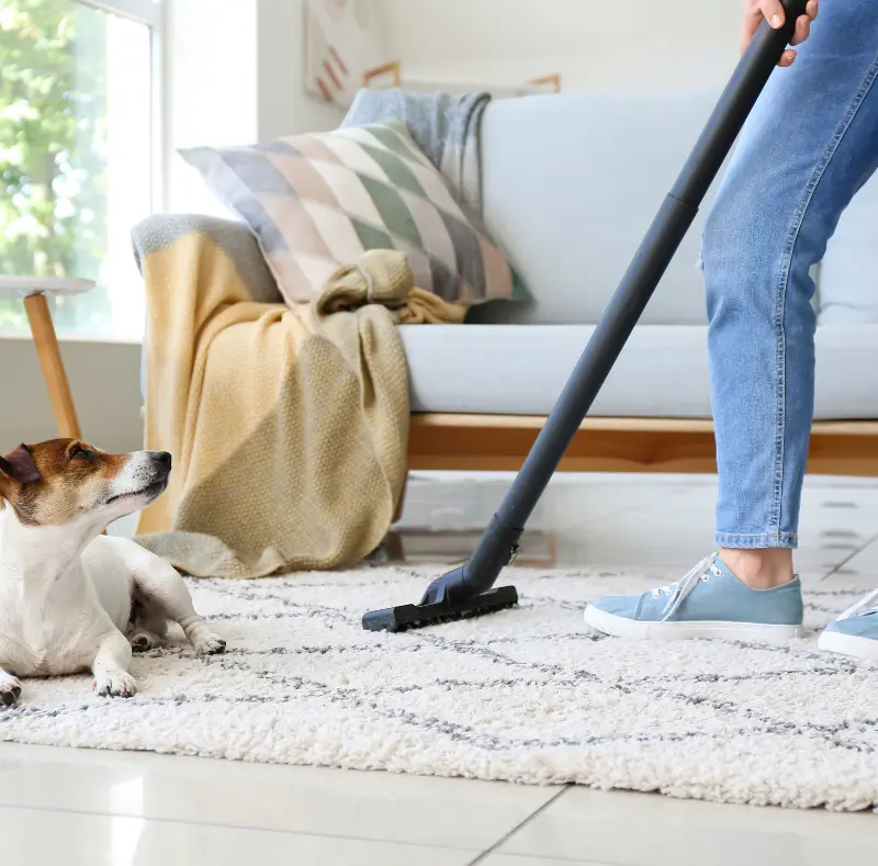 Maid-In-Chelsea-Cleaning-carper-clean Maid In Chelsea Cleaning carper clean
