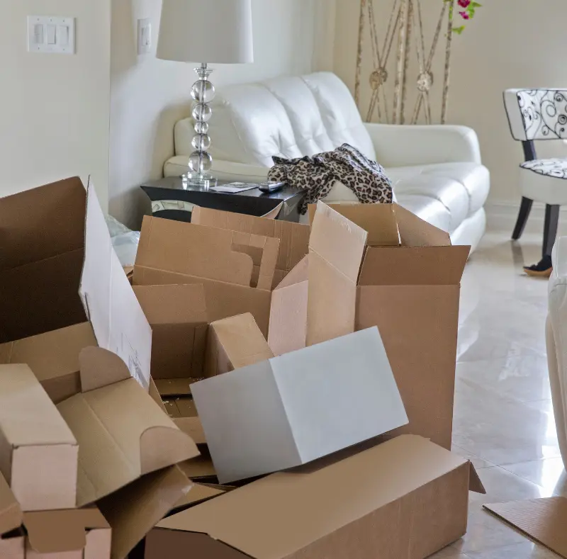 move in move out cleaning